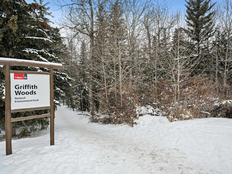 203-30 Discovery Ridge Close SW, Calgary, AB, T3H 5X5 - 36