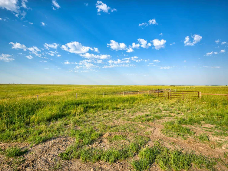 182020 Range Road 254, Vulcan, AB, T0L 0L0 - 10