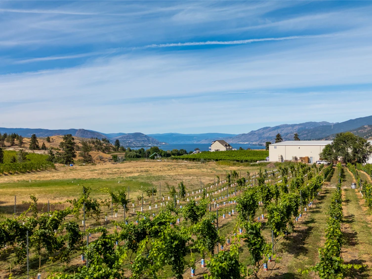 1275 Munson Avenue, Penticton, BC, V2A 8T1 - 52
