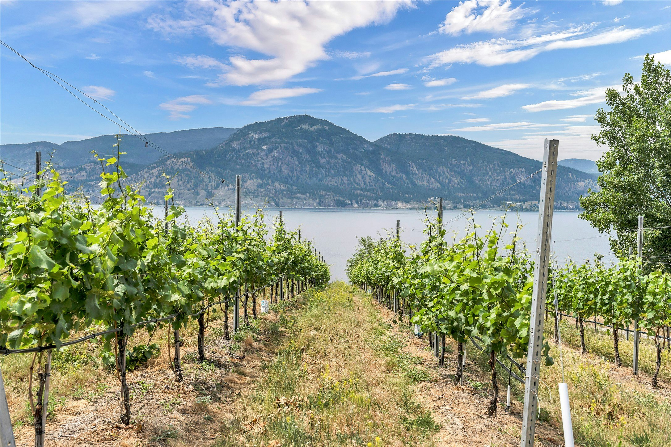 1675 Midland Road, Penticton, BC, V2A 8T7 - 54