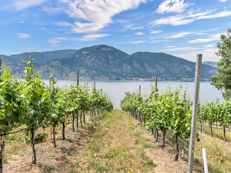 1675 Midland Road, Penticton, BC, V2A 8T7 - 54