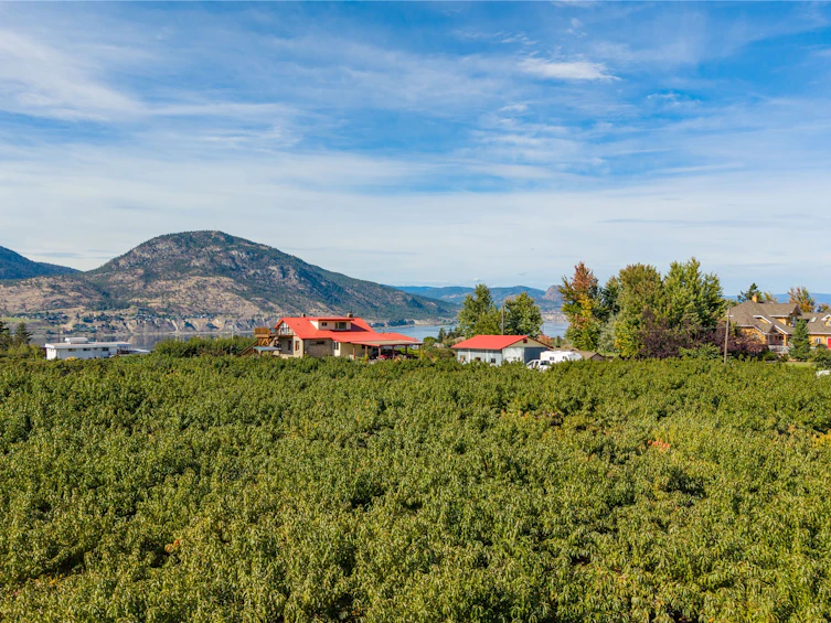 235 N Middle Bench Road, Penticton, BC, V2A 8S5 - 66