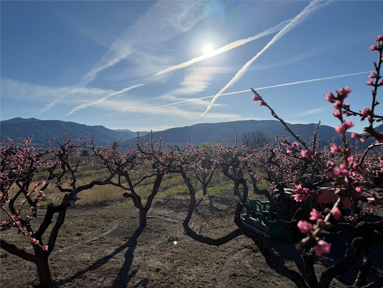 235 N Middle Bench Road, Penticton, BC, V2A 8S5 - 80