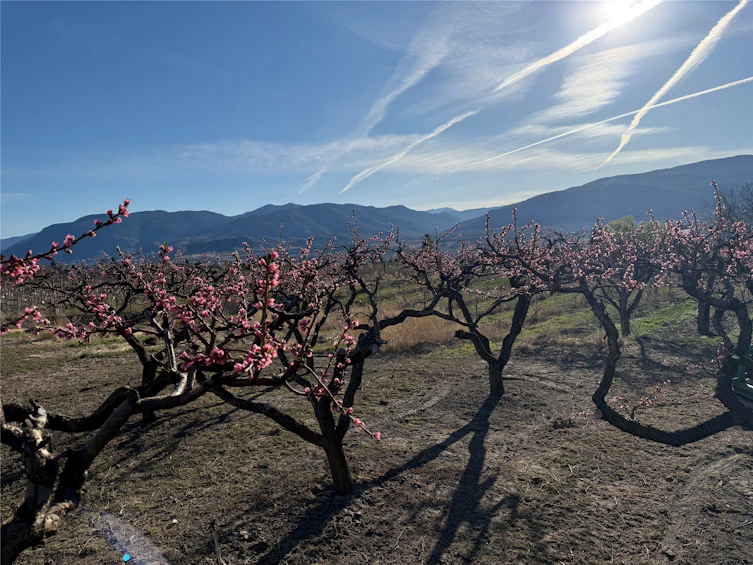 235 N Middle Bench Road, Penticton, BC, V2A 8S5 - 83