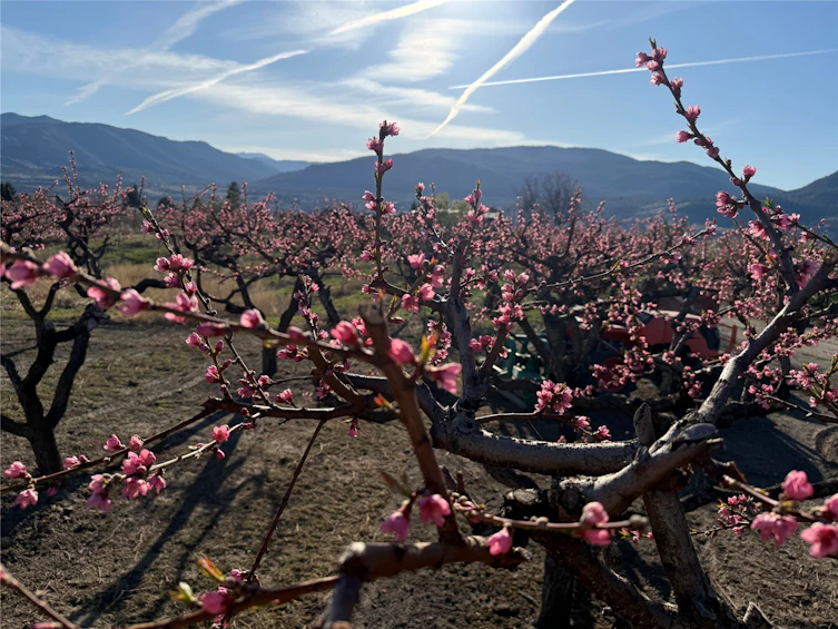 235 N Middle Bench Road, Penticton, BC, V2A 8S5 - 75