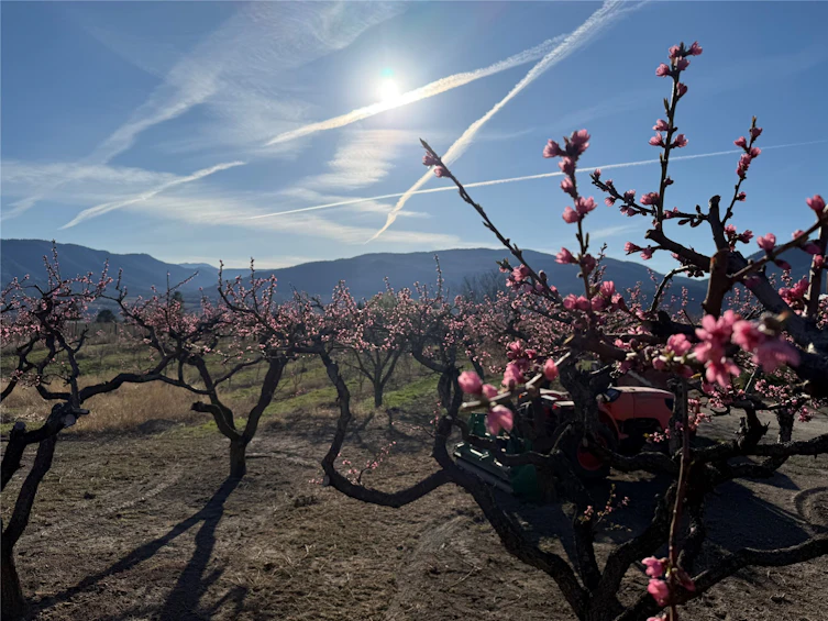 235 N Middle Bench Road, Penticton, BC, V2A 8S5 - 81