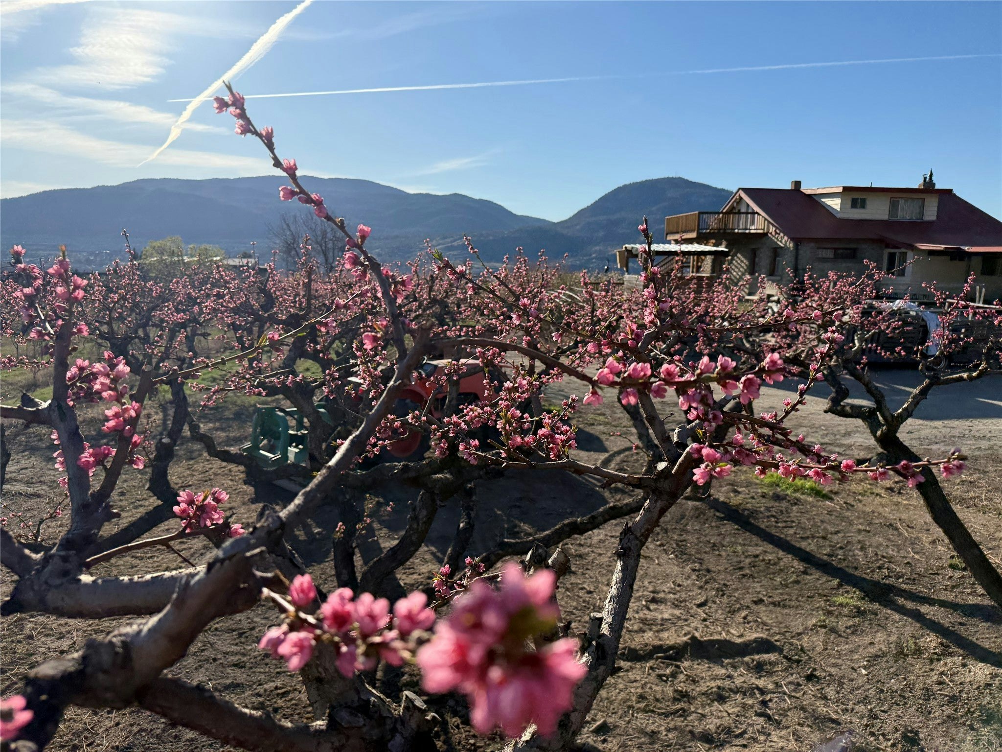 235 N Middle Bench Road, Penticton, BC, V2A 8S5 - 60
