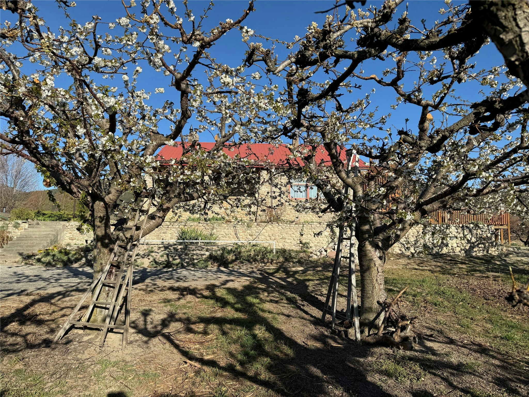 235 N Middle Bench Road, Penticton, BC, V2A 8S5 - 65