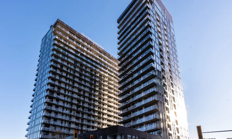 554-101 Peel Rue