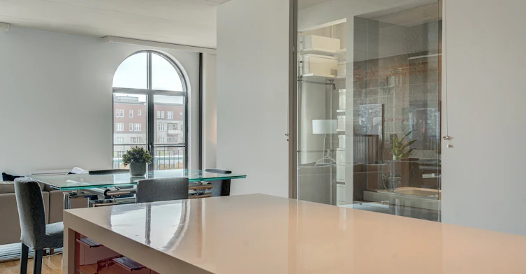 205-969 St Timothée Rue, Montréal, QC, H2L 3N2 - 9