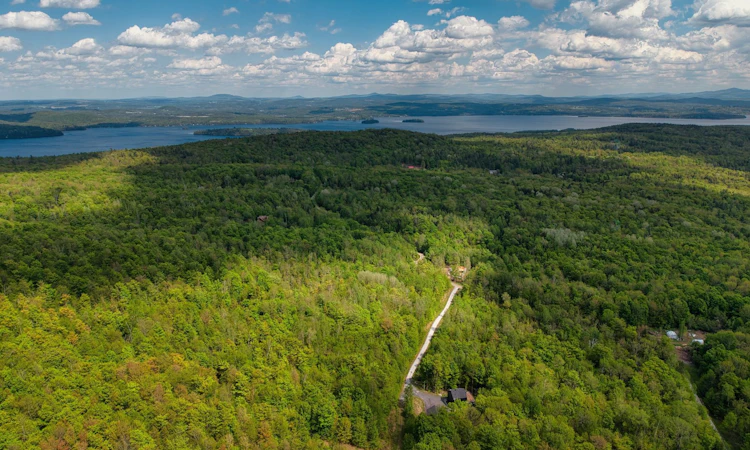 45 Du Mont Bear Chemin