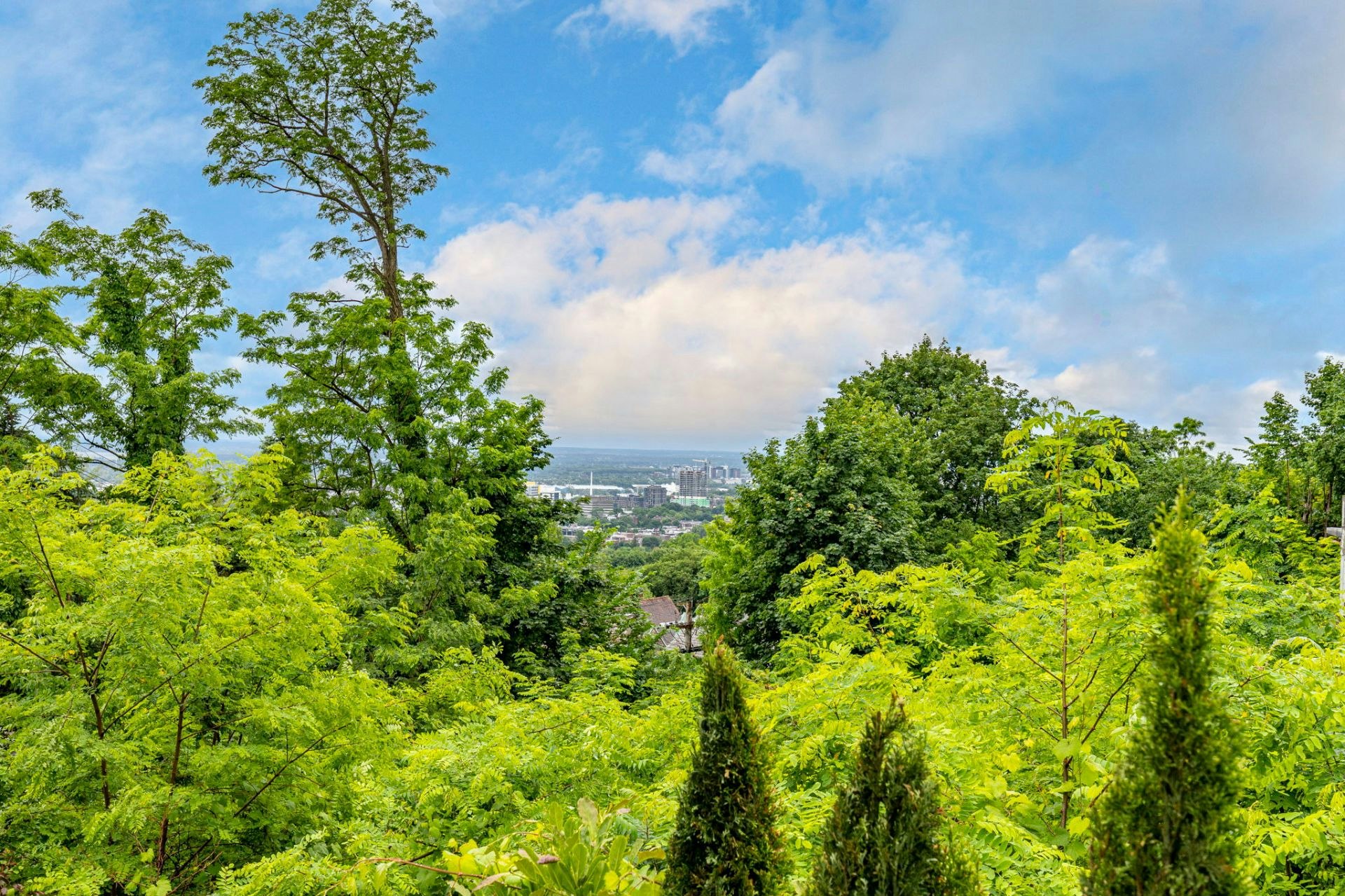 12 Sunnyside Avenue, Westmount, QC, H3Y 1C1 - 2