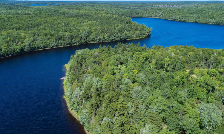 Lot 2-Lake Fanning Road