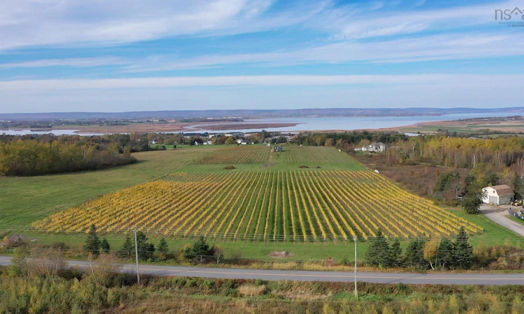 Lot 2024-Maple Ridge Road