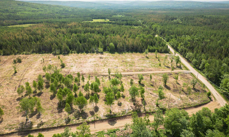 Lot 1-Whycocomagh Port Hood Road