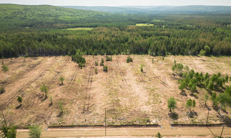 Lot 3-Alpine Ridge Road