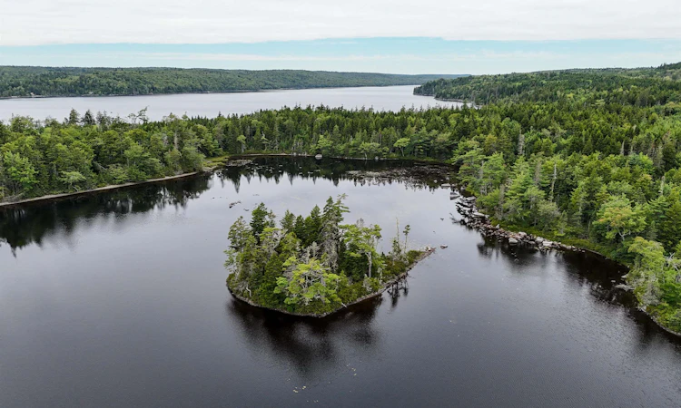 Level Spot Lake