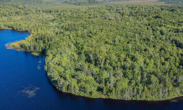 Ruel Du Lac Gaspereau