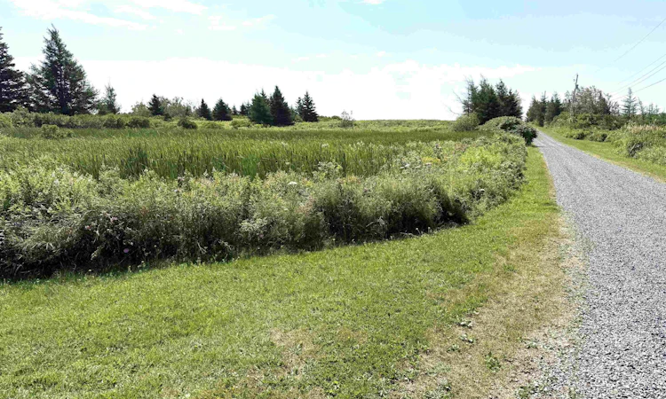 Lot-33 Elderberry Drive