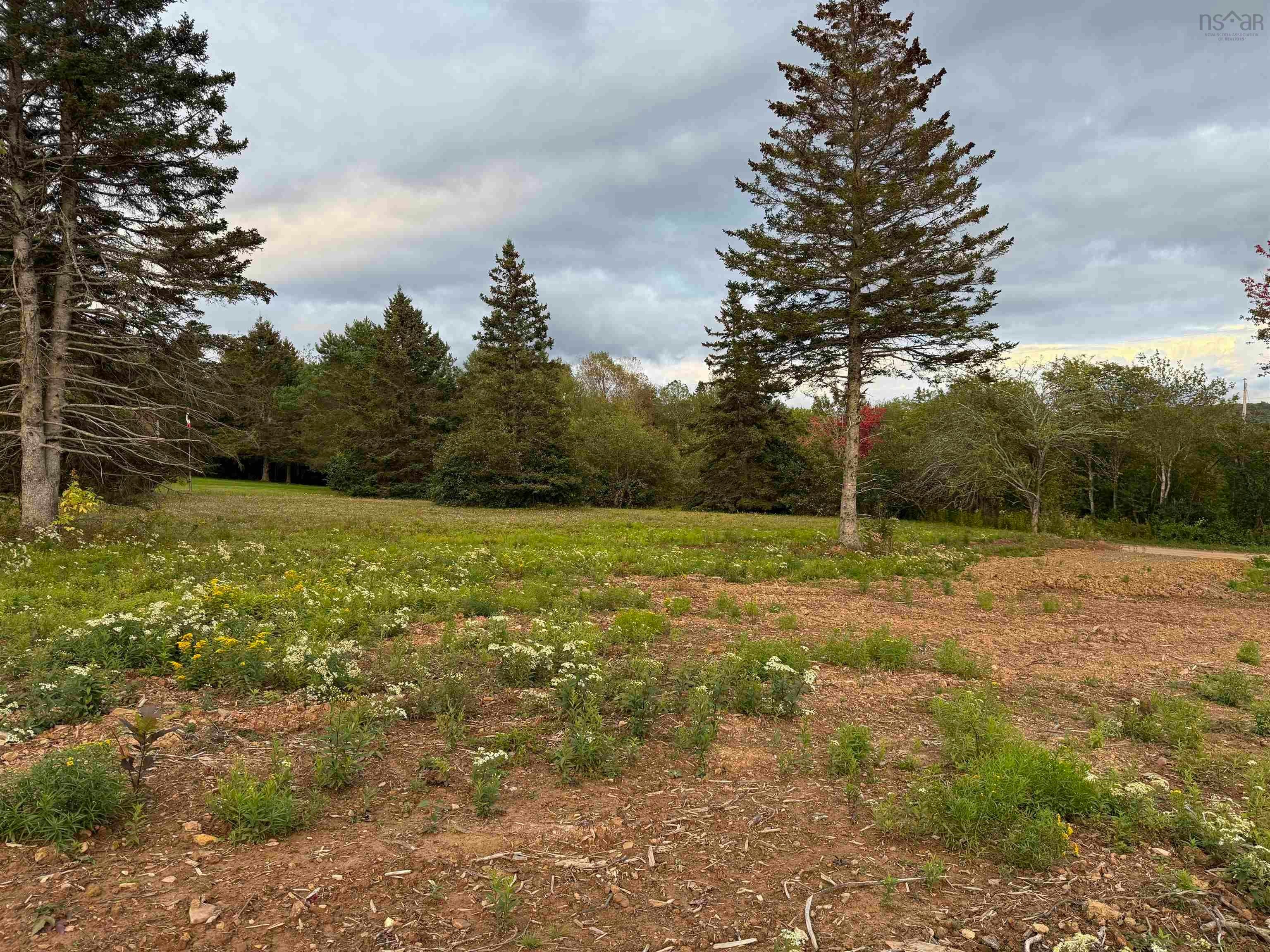Lot-25 Mull River Road, Hillsboro, NS, B0E 1X0