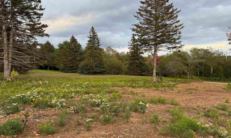 Lot-25 Mull River Road