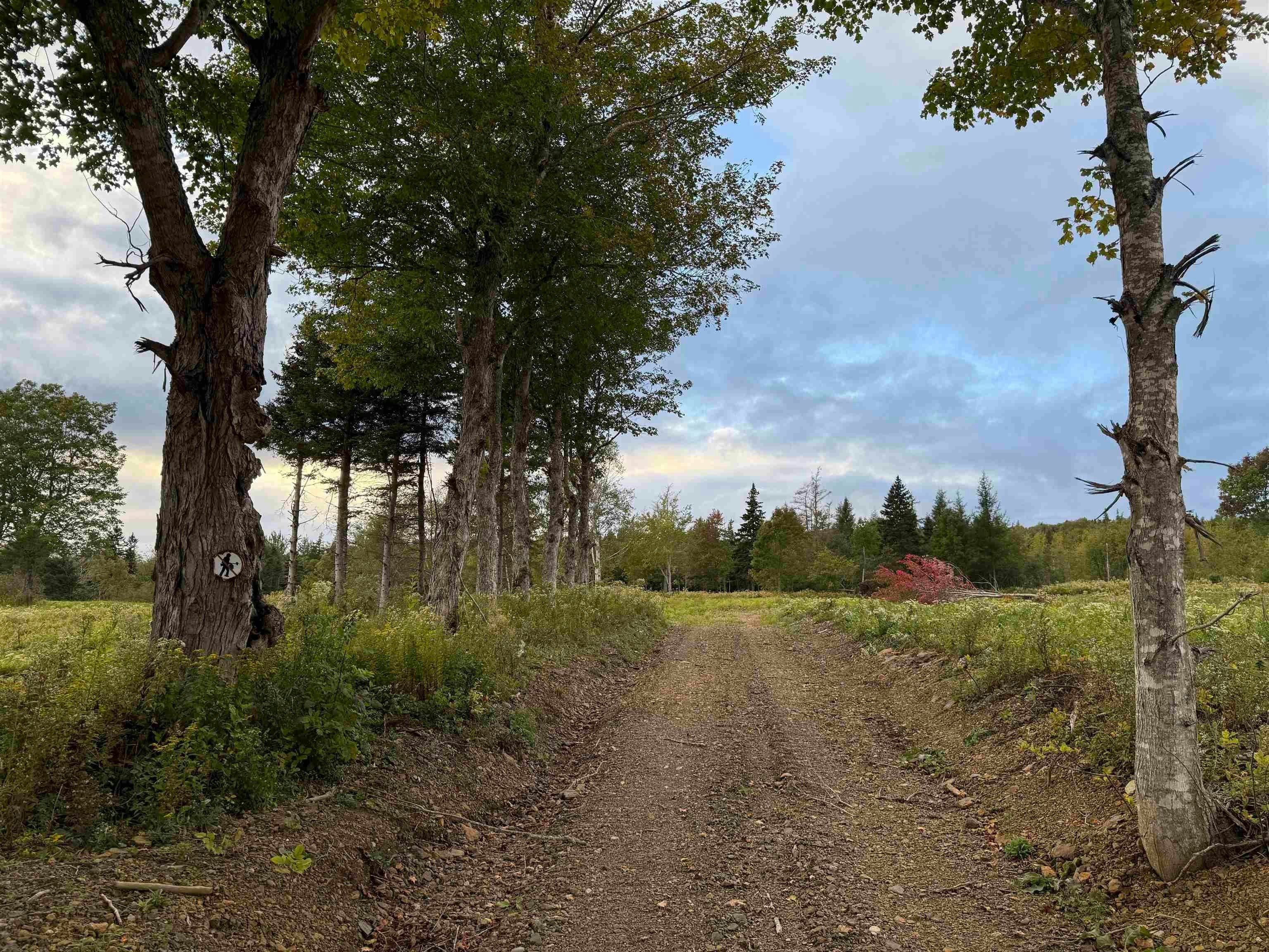 Lot-27 Mull River Road, Hillsboro, NS, B0E 1X0