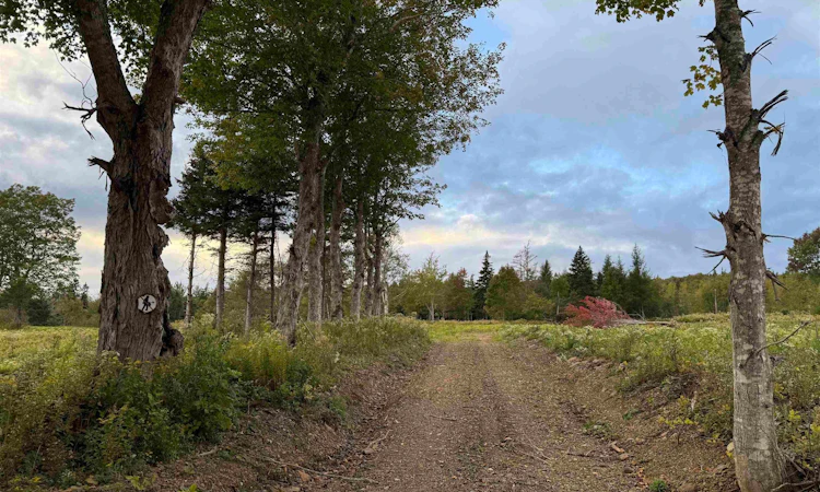 Lot-27 Mull River Road