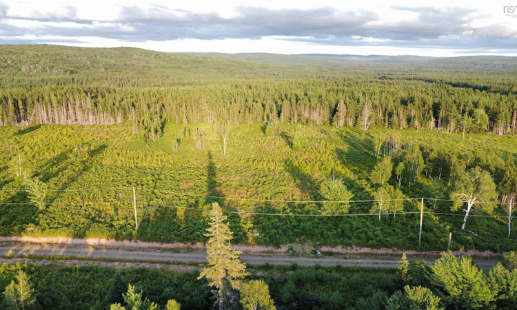 Lot-3 Alpine Ridge Road