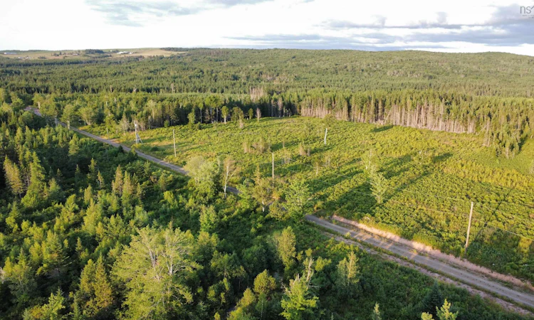 Lot-4 Alpine Ridge Road
