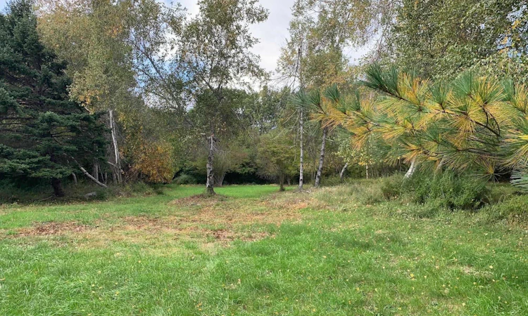 Lot 100-Sunnybrook Heights Drive