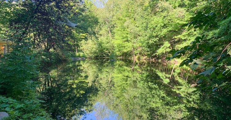 180 Saxby Chemin S, Shefford, QC, J2M 0E1 - 35