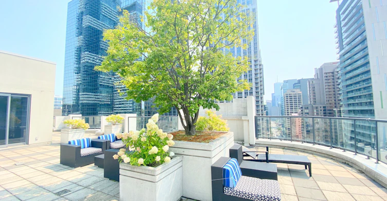 2002-801 Bay Street, Toronto, ON, M5S 1Y9 - 23