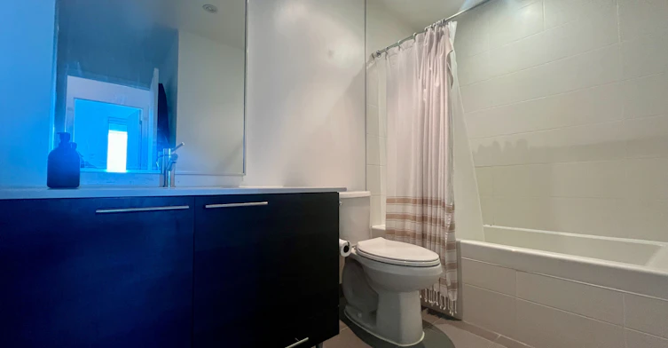 1608-1 Market Street, Toronto, ON, M5E 0A2 - 18