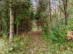 1650 7th Line, Innisfil, ON, L9S 4H3 - 28