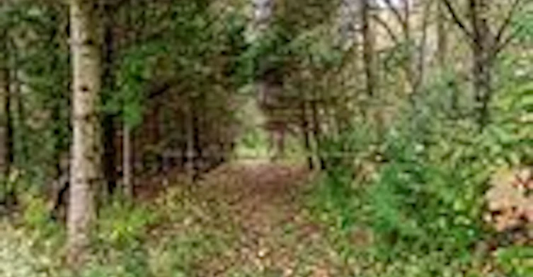 1650 7th Line, Innisfil, ON, L9S 4H3 - 28