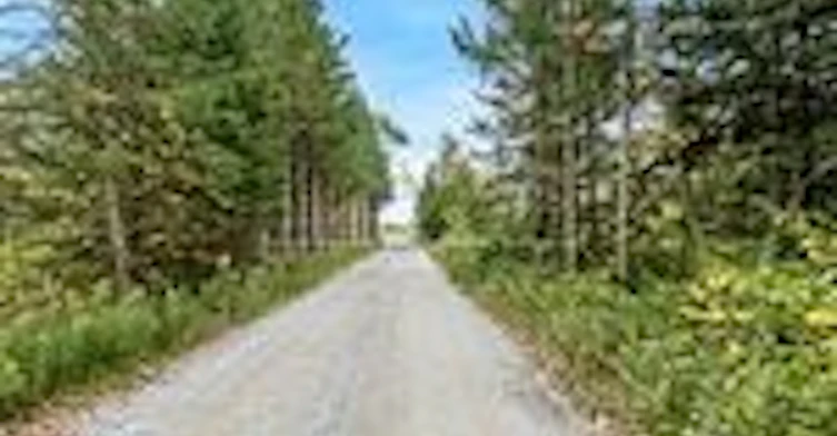 1650 7th Line, Innisfil, ON, L9S 4H3 - 5