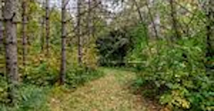 1650 7th Line, Innisfil, ON, L9S 4H3 - 29