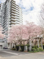 506 2688 West Mall