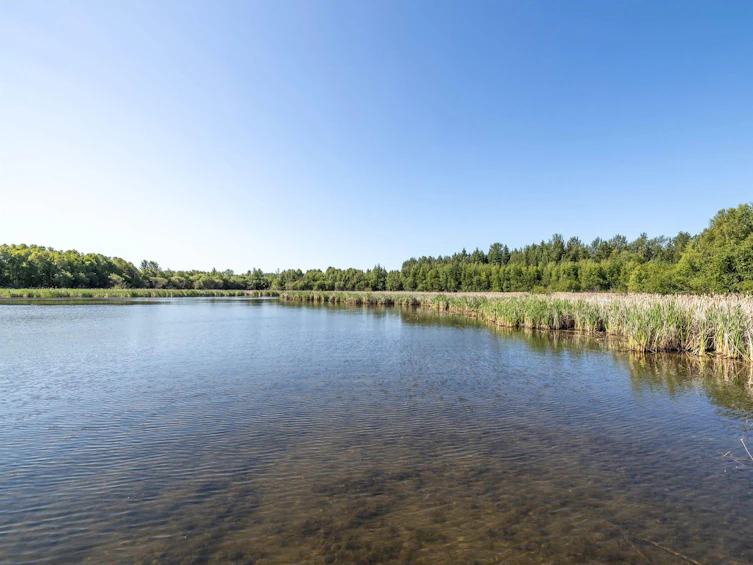 2020 Spring Lake Drive, Rural Parkland County, AB, T7Z 0G8 - 29