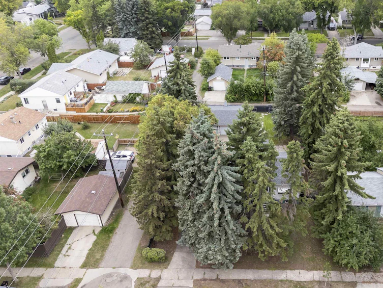 3642 110 Avenue NW, Edmonton, AB, T5W 0H5 - 19