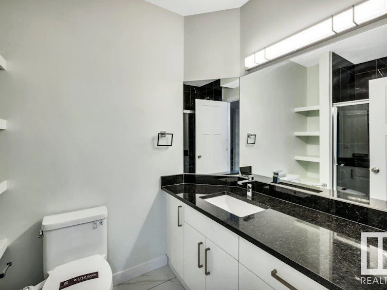 1004 Wildwood Court, Edmonton, AB, T6T 0M2 - 54