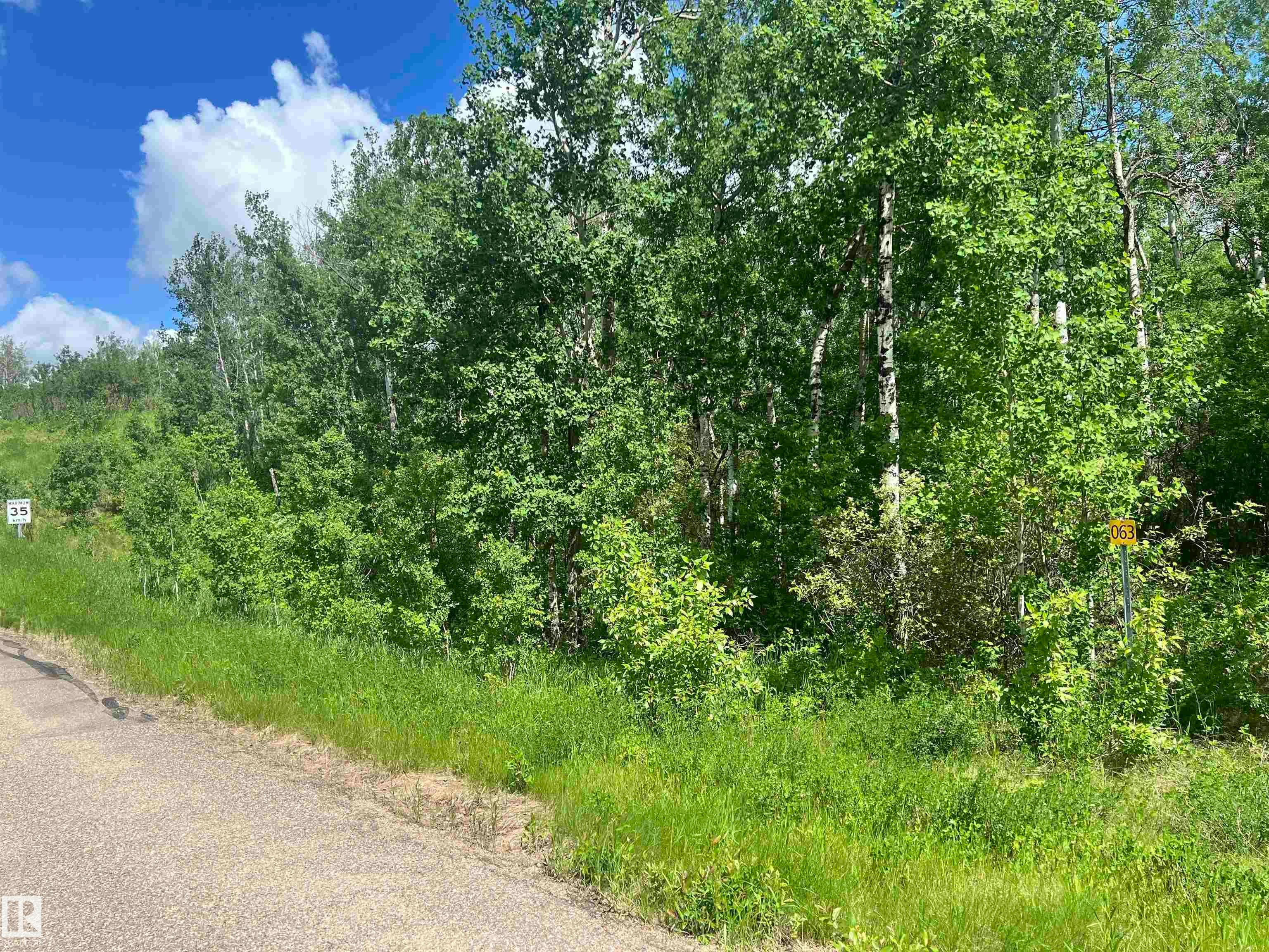 63 Coney Drive, Rural St. Paul County, AB, T0A 3A0