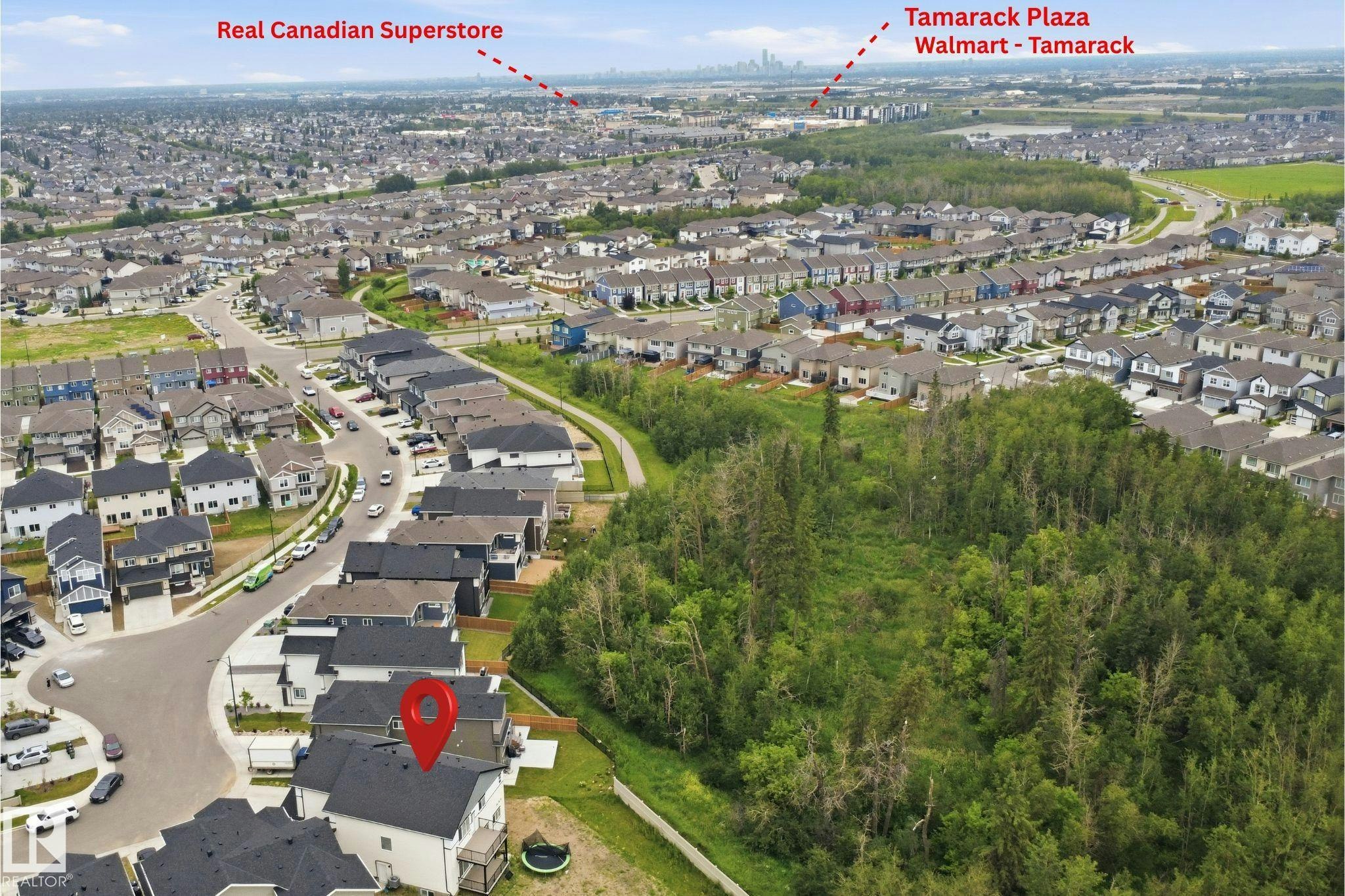 304 33 Avenue, Edmonton, AB, T6T 2V8 - 63