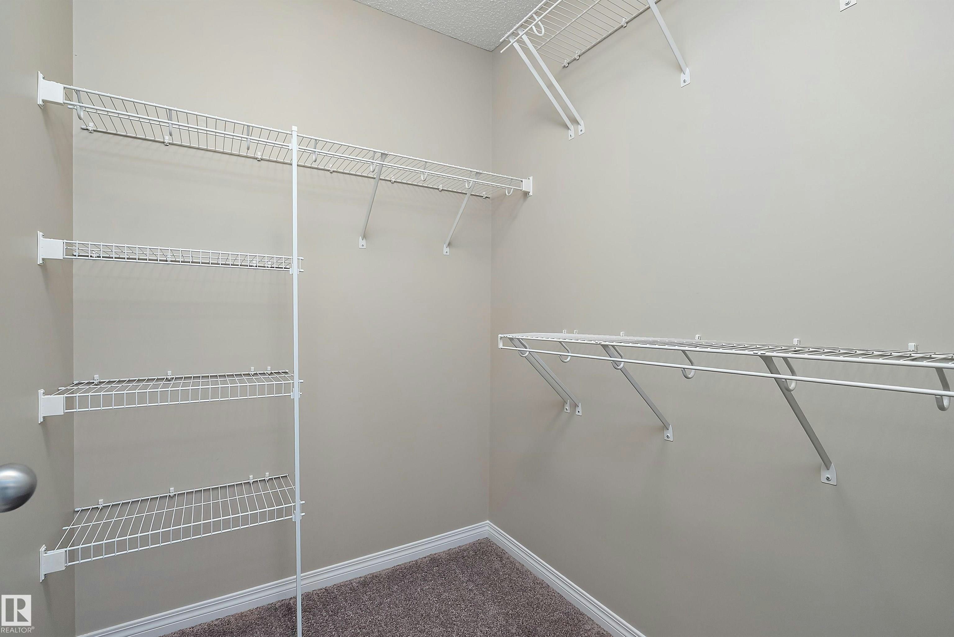4037 Prowse Lane, Edmonton, AB, T6W 2V4 - 35