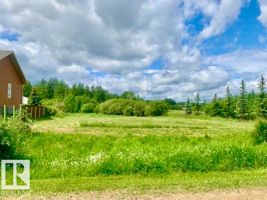 433 Swedberg Street, Wetaskiwin, AB, T0C 2V0