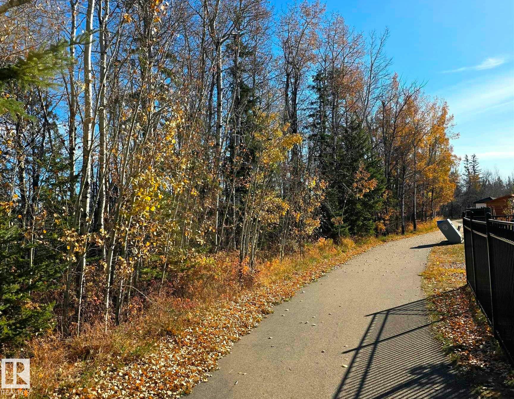 223 Ravine Drive, Devon, AB, T9G 0M2 - 64