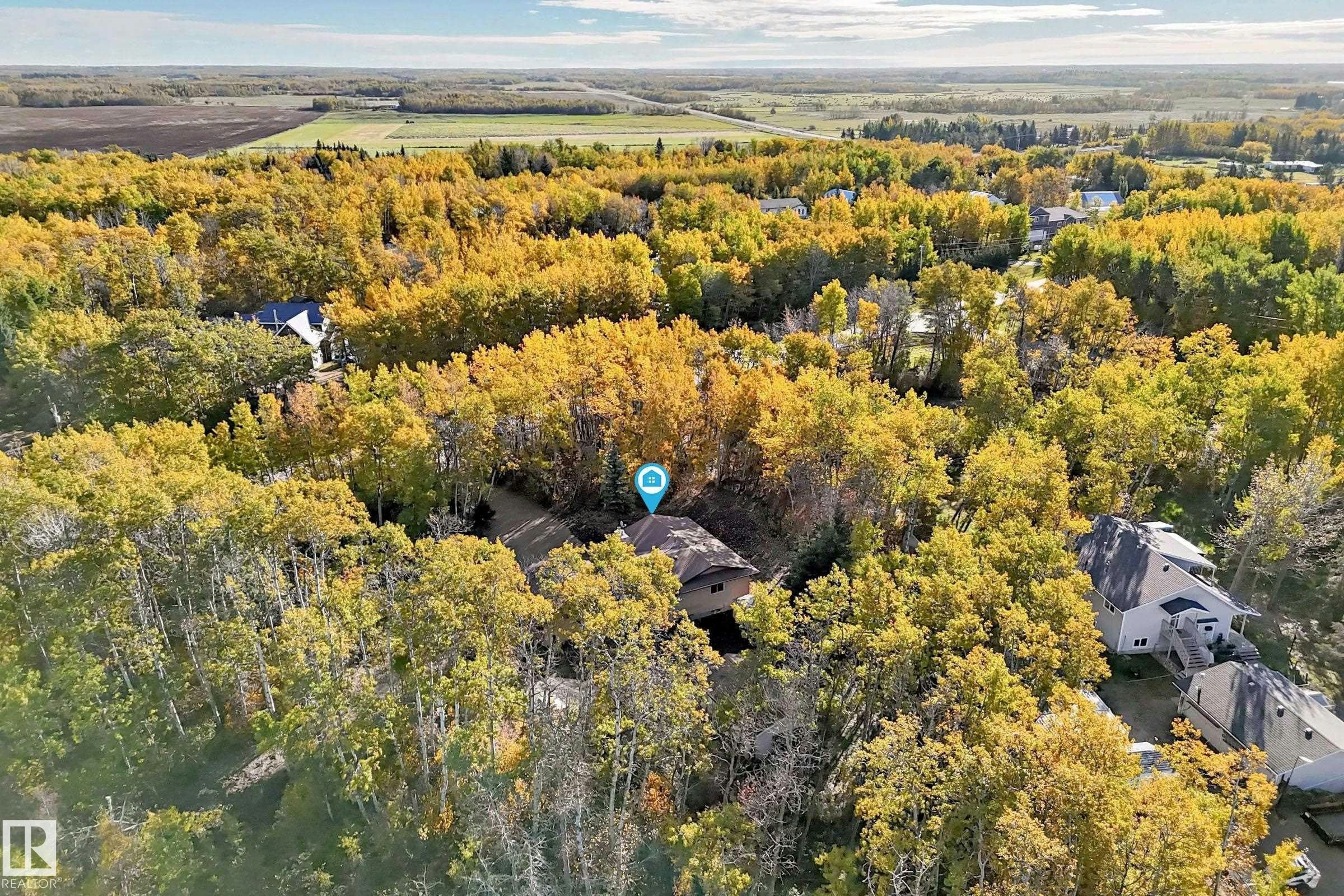 100-23016 Twp Rd 504, Rural Leduc County, AB, T0B 3M1 - 68