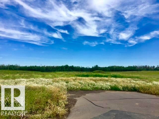 440 50450 Range Road 234, Rural Leduc County, AB, T4X 0L7