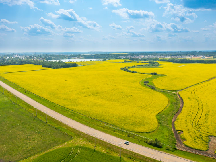 50 Avenue, Innisfail, AB, T4G 1R7 - 16