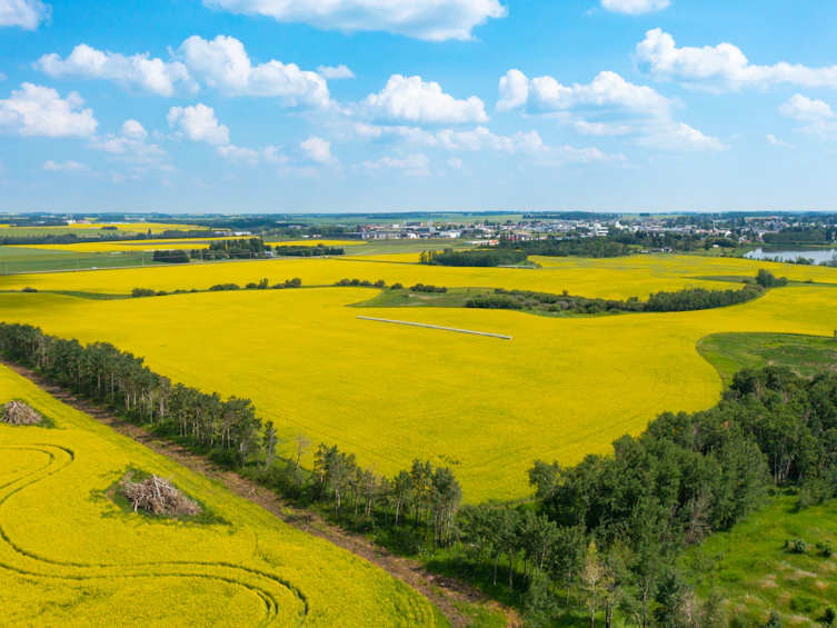 50 Avenue, Innisfail, AB, T4G 1R7 - 2